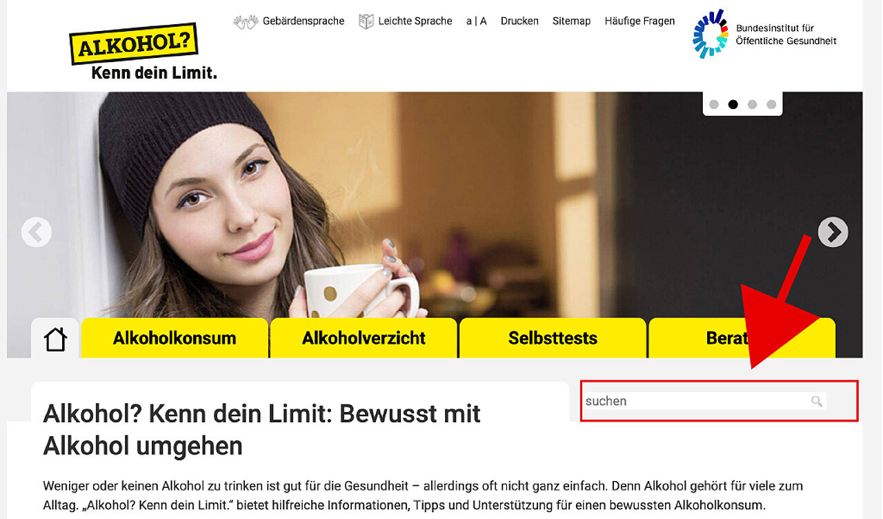 Leichte Sprache: Suche