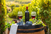 Ein Flasche Rotwein mit zwei Gläsern auf einem Fass vor Weinsträuchern 