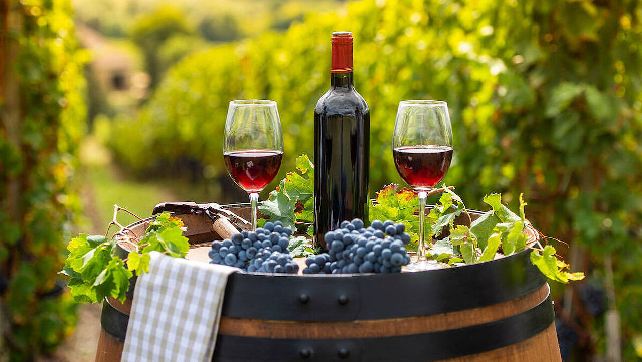 Eine Flasche Rotwein mit zwei Gläsern auf einem Fass vor Weinsträuchern