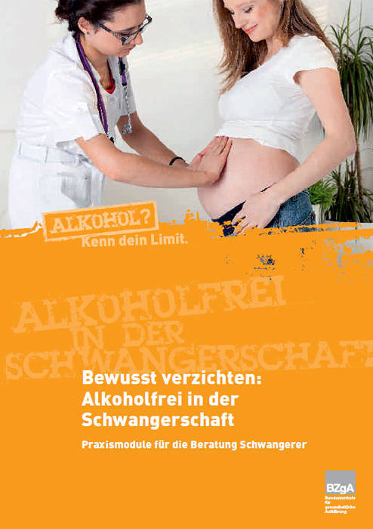 Deckblatt der Praxismodule für die Beratung Schwangerer